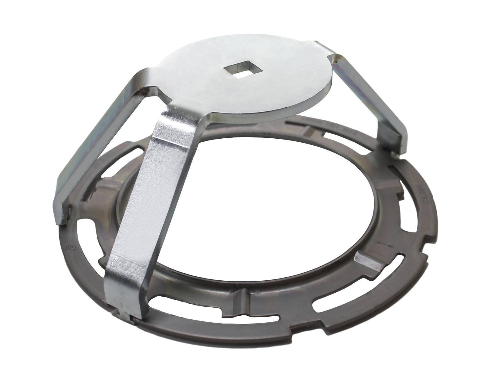 Celes galixhanti – CLAS